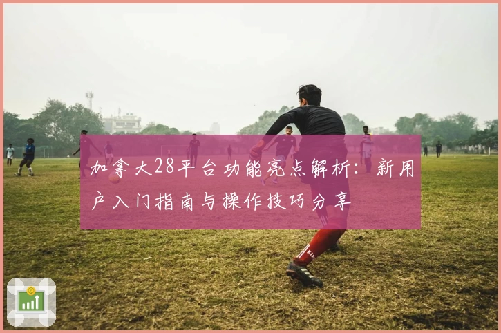 加拿大28平台功能亮点解析：新用户入门指南与操作技巧分享