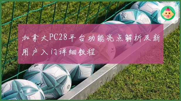 加拿大PC28平台功能亮点解析及新用户入门详细教程