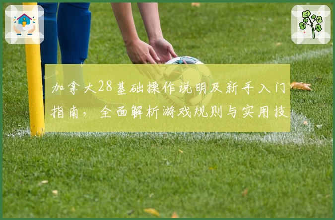 加拿大28基础操作说明及新手入门指南，全面解析游戏规则与实用技巧