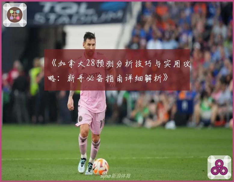 《加拿大28预测分析技巧与实用攻略：新手必备指南详细解析》