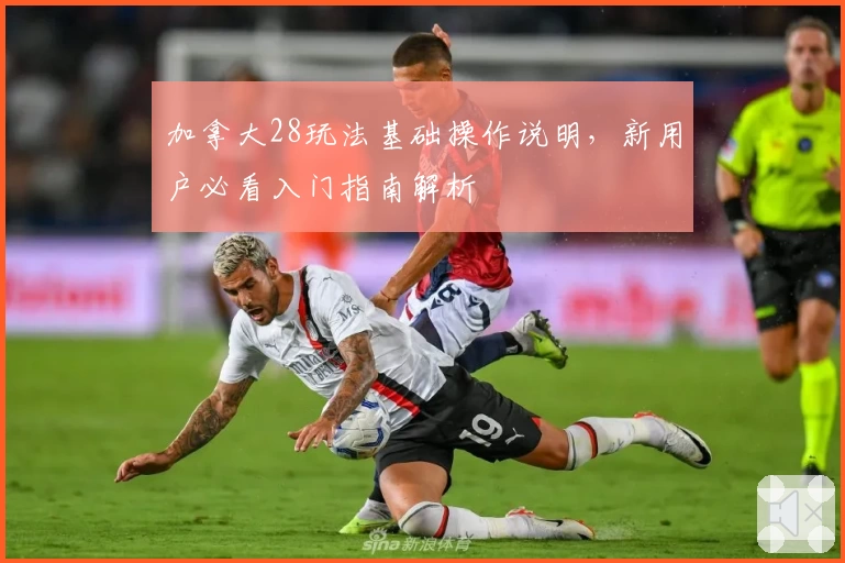 加拿大28玩法基础操作说明，新用户必看入门指南解析