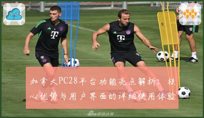 加拿大PC28平台功能亮点解析：核心优势与用户界面的详细使用体验