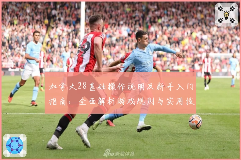 加拿大28基础操作说明及新手入门指南，全面解析游戏规则与实用技巧