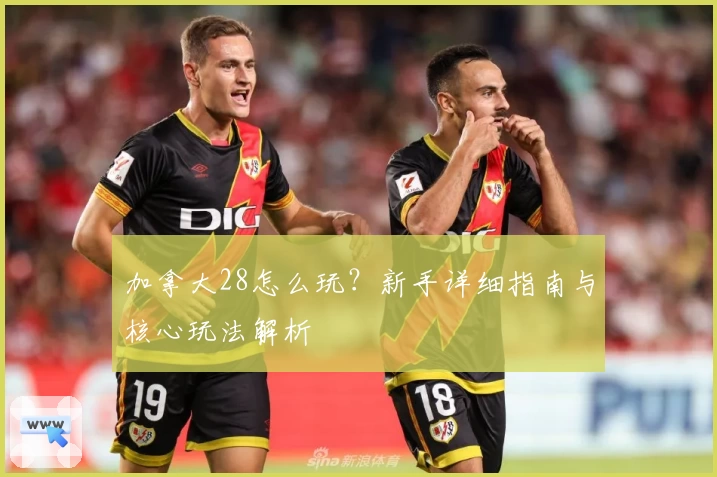 加拿大28怎么玩？新手详细指南与核心玩法解析