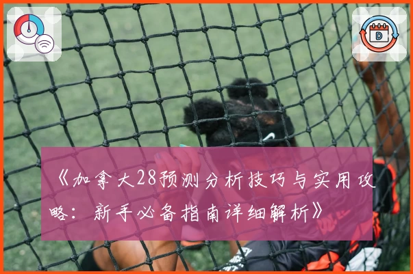 《加拿大28预测分析技巧与实用攻略：新手必备指南详细解析》