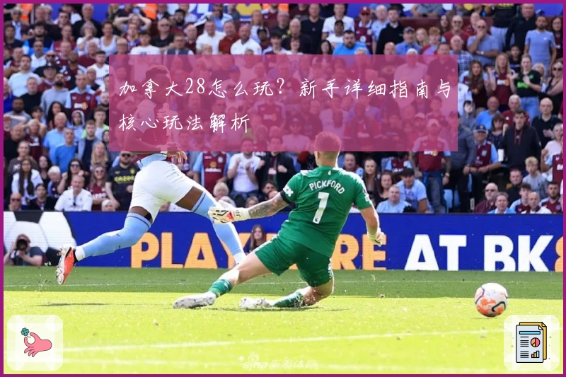 加拿大28怎么玩？新手详细指南与核心玩法解析