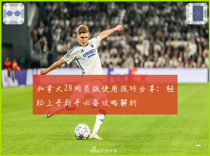 加拿大28网页版使用技巧分享：轻松上手新手必备攻略解析