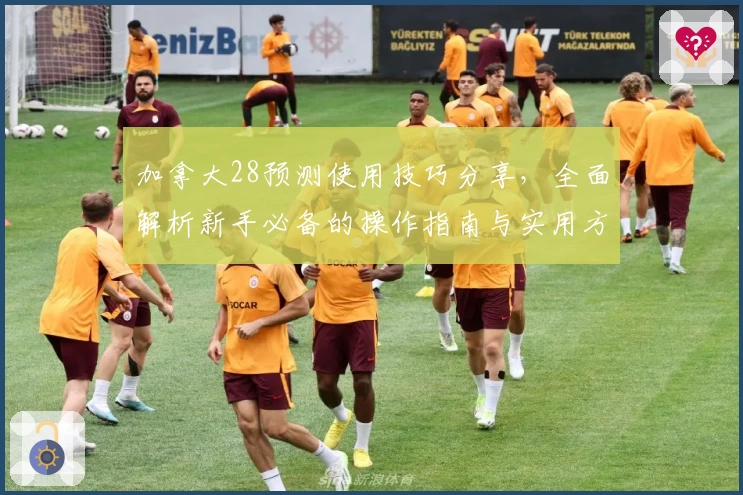 加拿大28预测使用技巧分享，全面解析新手必备的操作指南与实用方法