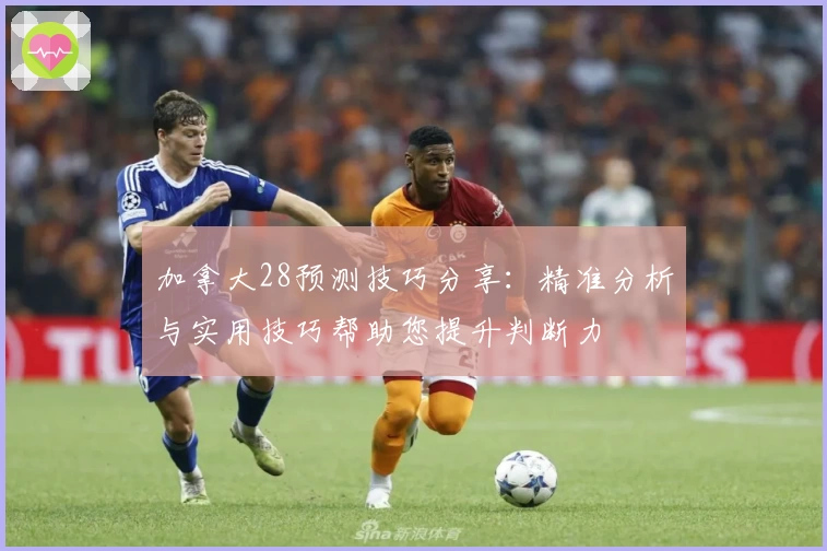 加拿大28预测技巧分享：精准分析与实用技巧帮助您提升判断力