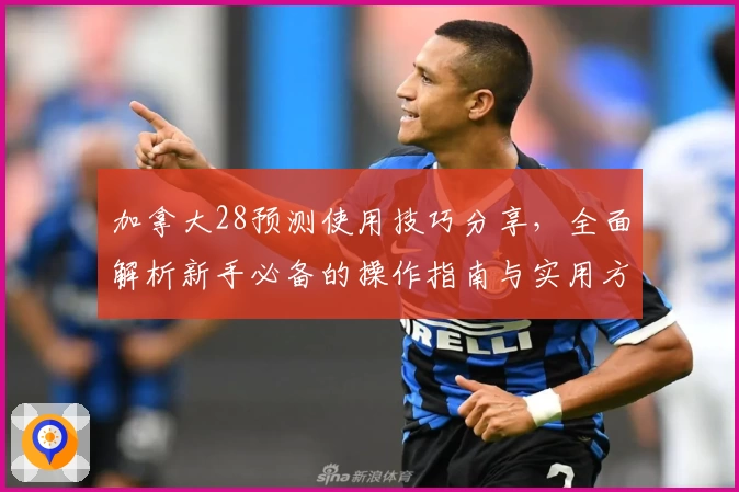 加拿大28预测使用技巧分享，全面解析新手必备的操作指南与实用方法