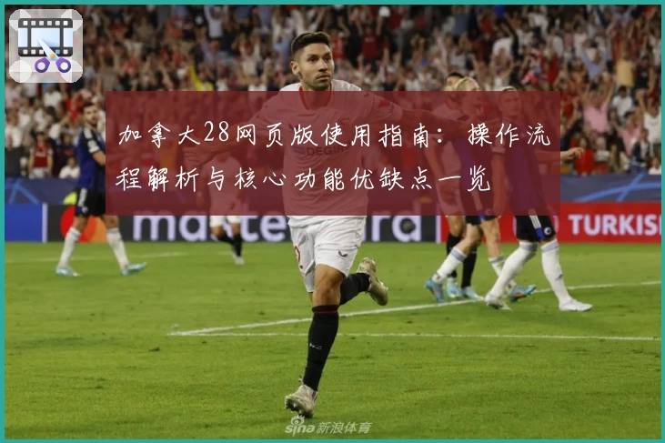 加拿大28网页版使用指南：操作流程解析与核心功能优缺点一览