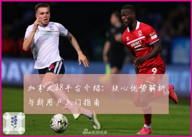 加拿大28平台介绍：核心优势解析与新用户入门指南