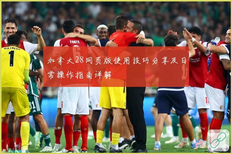 加拿大28网页版使用技巧分享及日常操作指南详解