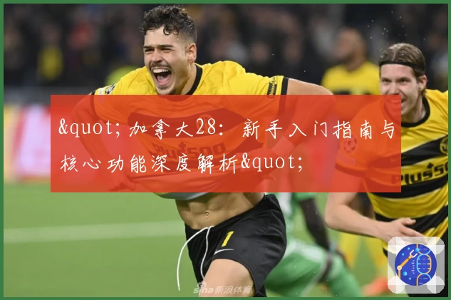 "加拿大28：新手入门指南与核心功能深度解析"